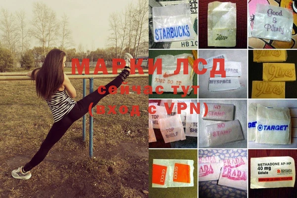 дмт Баксан